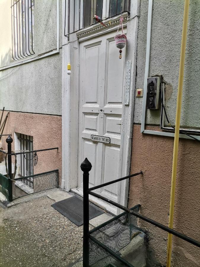 Flat In Historic Villa With Your Own Private Garden, Near City Park Boedapest Buitenkant foto
